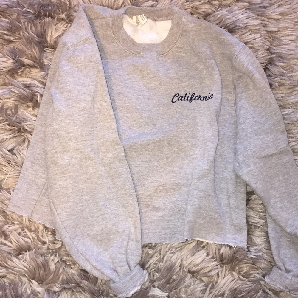 Gray cropped sweatshirt from PacSun
